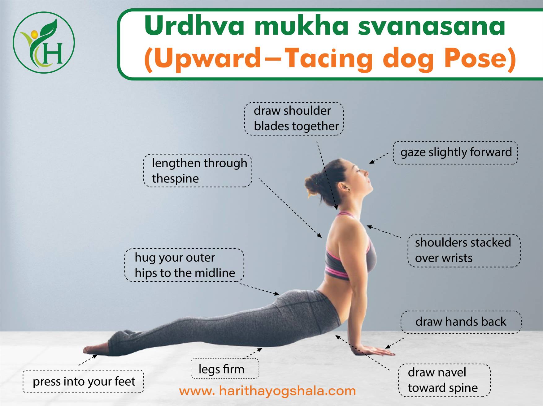 A woman gracefully performing Urdhva Mukha Shvanasana, the Upward-Facing Dog pose. She arches her back, lifting her chest and extending her arms while keeping her legs and feet grounded. This pose promotes strength, flexibility, and energizing breath, enhancing overall well-being in a yoga practice